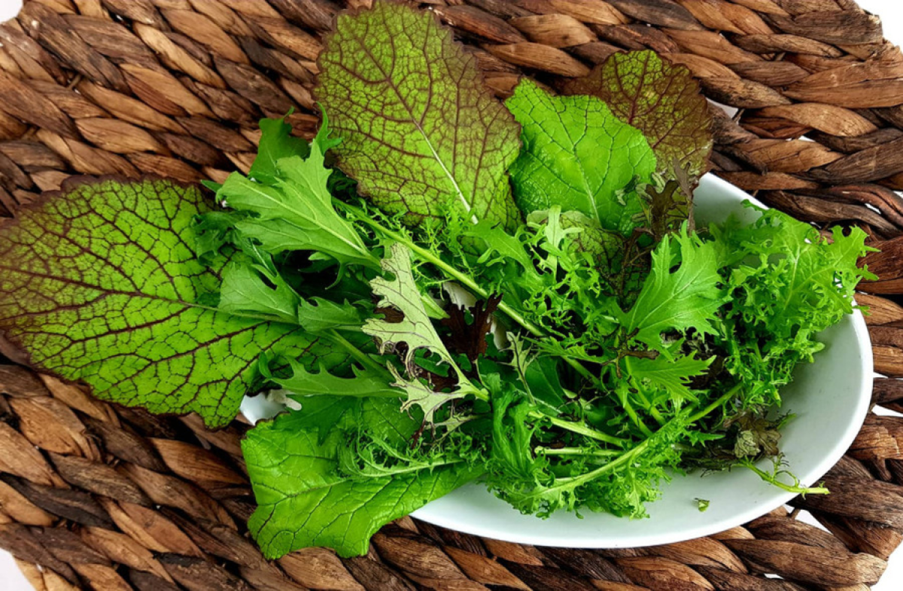 Asia-Salat