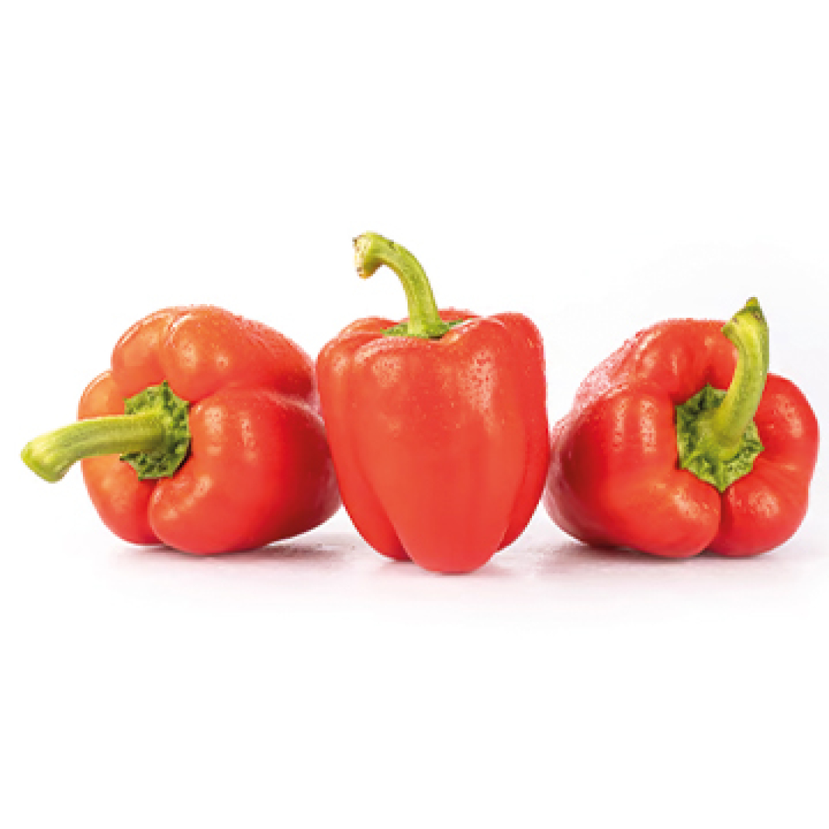 Paprika rot