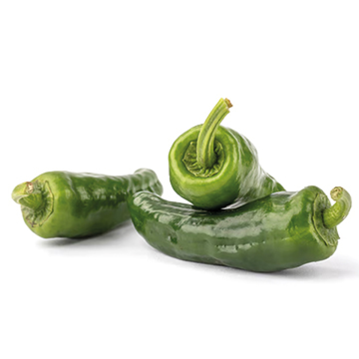 Bratpaprika Pimiento de Padrón rot