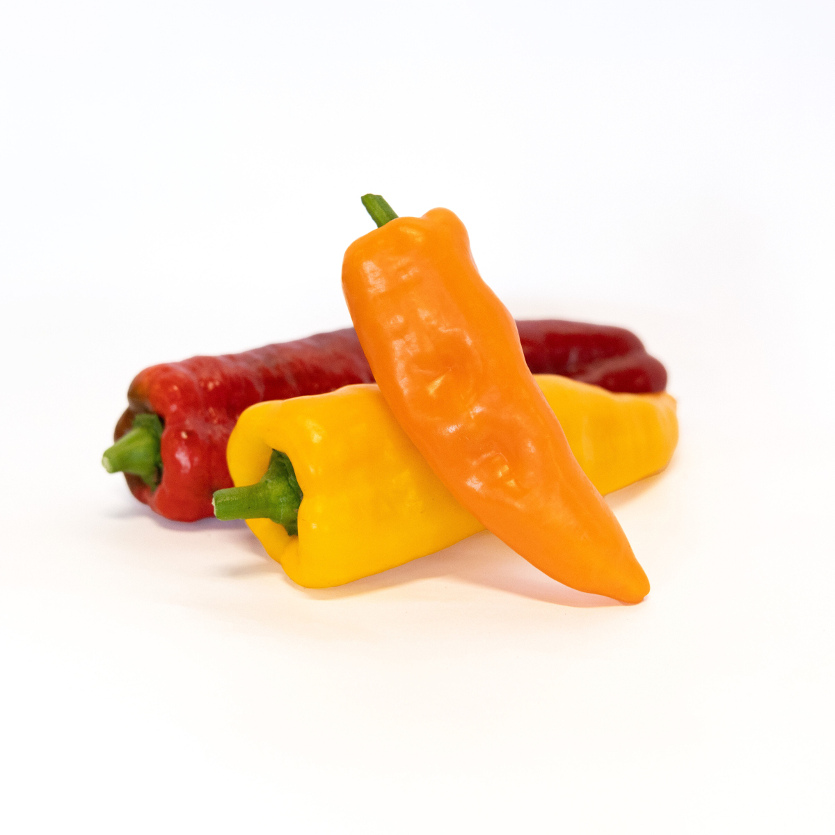 Spitzpaprika Mix bunt
