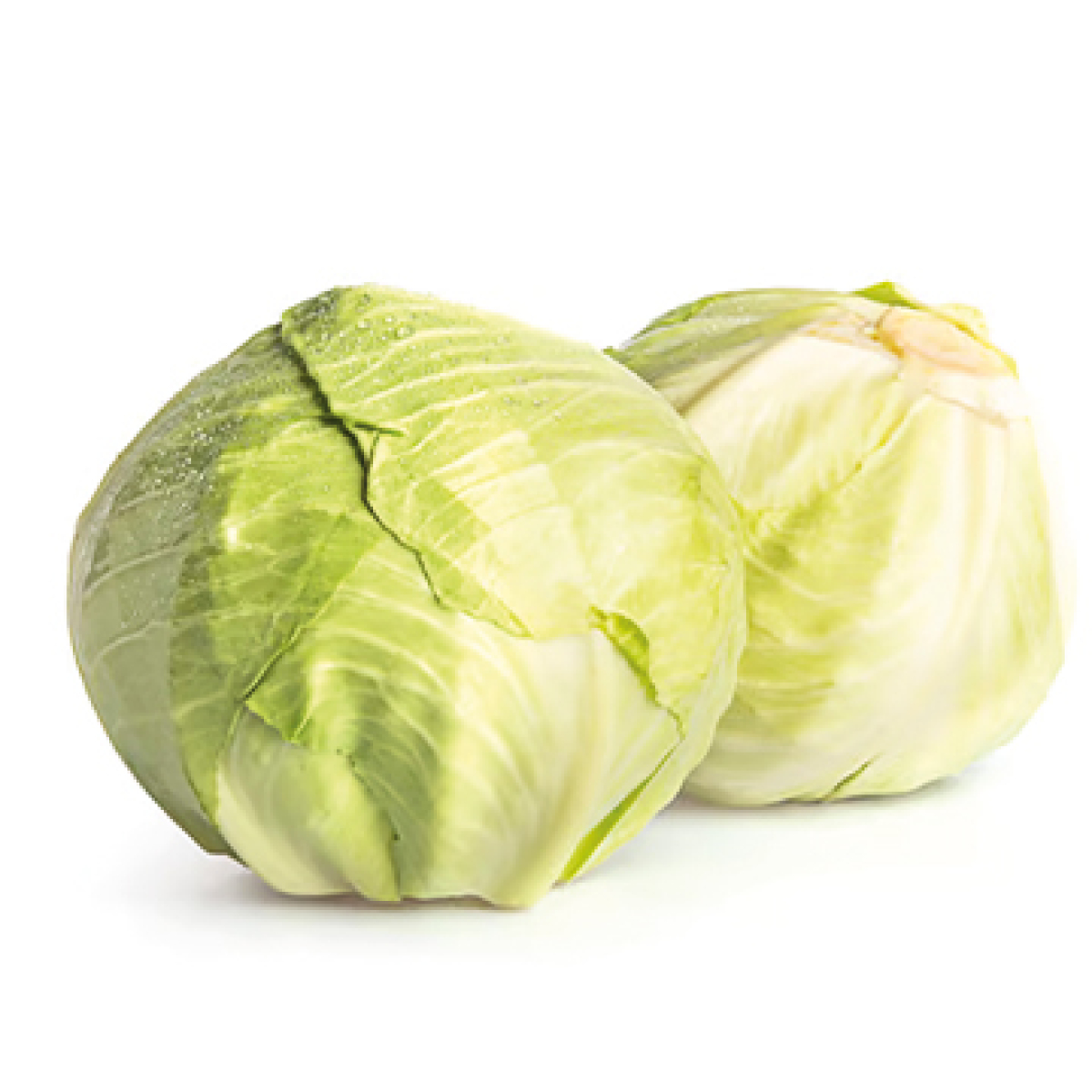 Weißkohl, groß 2-3 kg (für Sauerkraut und Kohlrouladen)