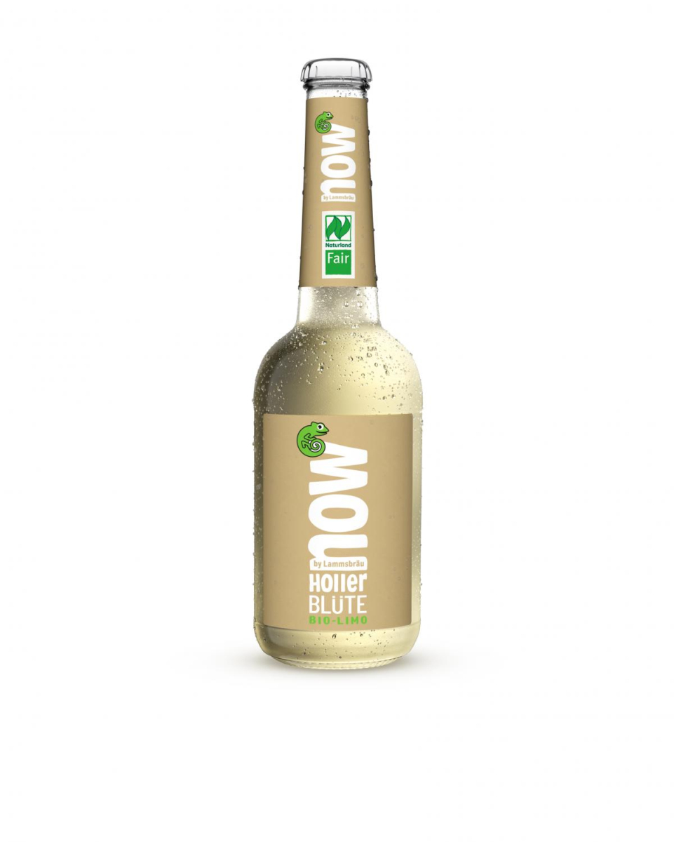 now - Holler Blüte