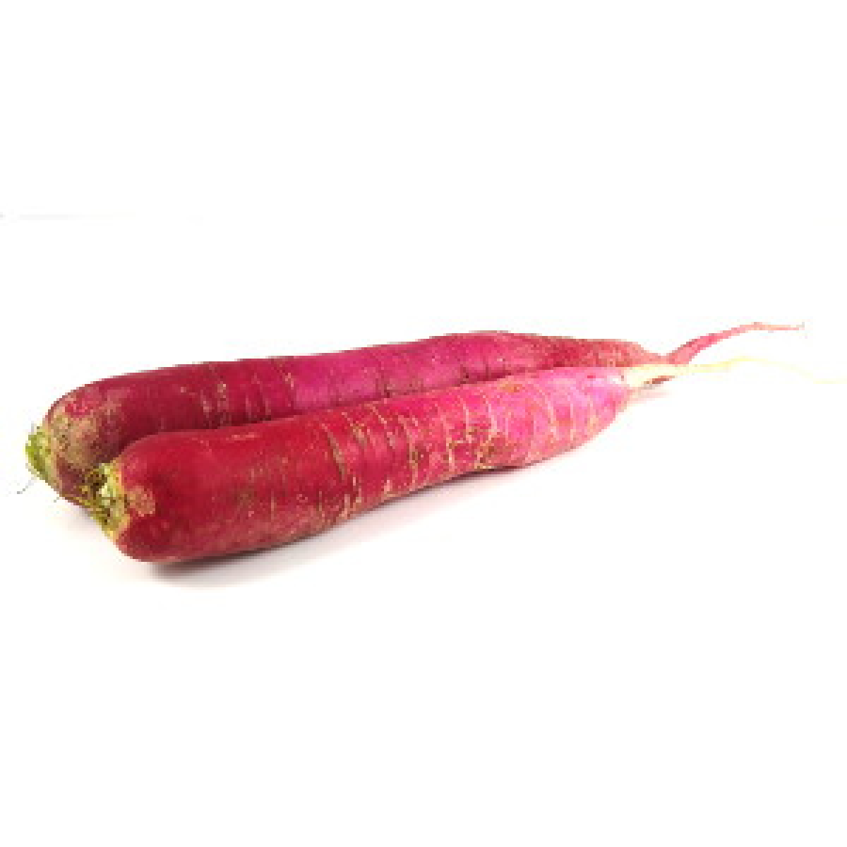 Rettich rot