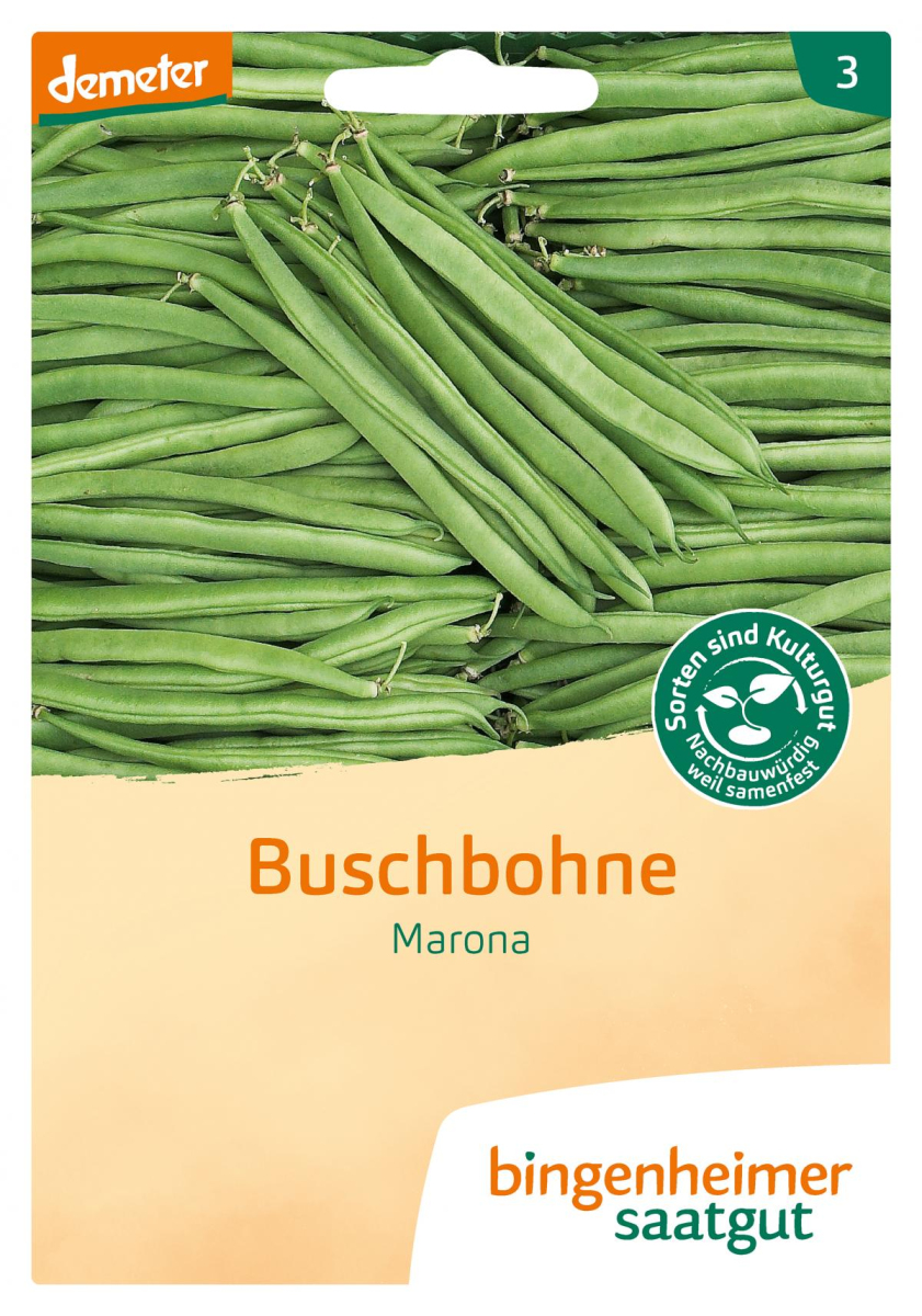 Saat Buschbohne "Marona"
