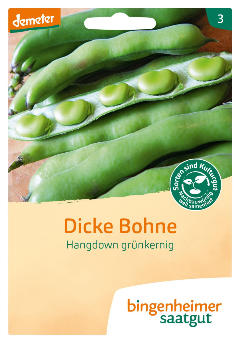Saat Dicke Bohne "Hangdown grünkernig"