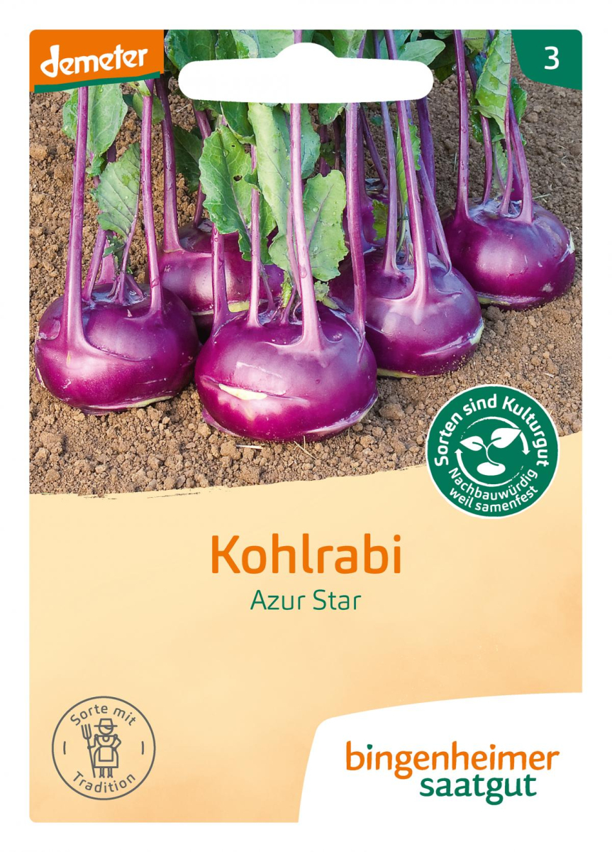 Saat Kohlrabi "Azur Star"