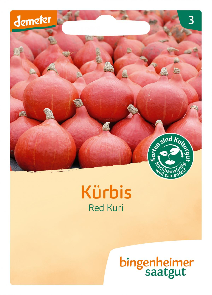 Saat Hokkaidokürbis "Red Kuri"