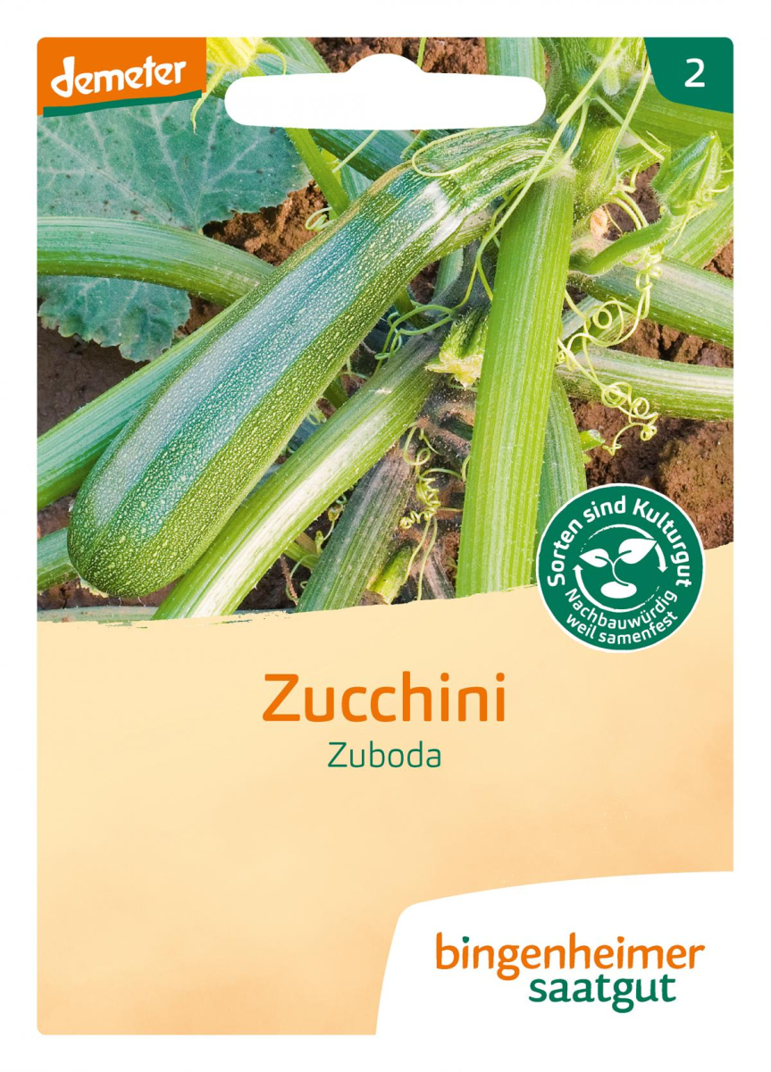 Saat Zucchini "Zuboda"