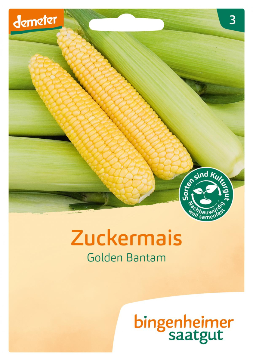 Saat Zuckermais "Golden Bantam"