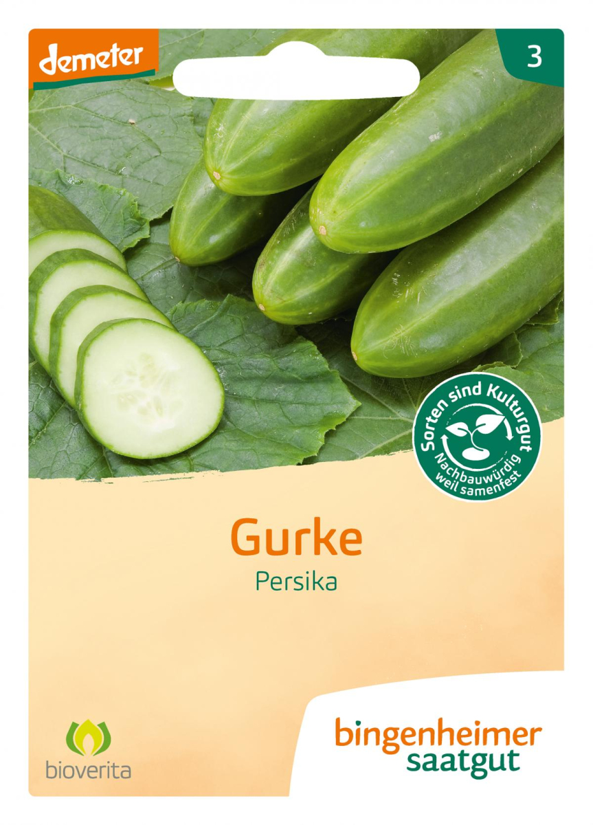 Saat Freiland Gurke "Persika"
