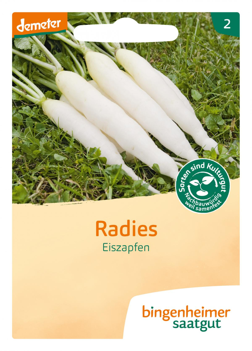 Saat Radies "Eiszapfen"