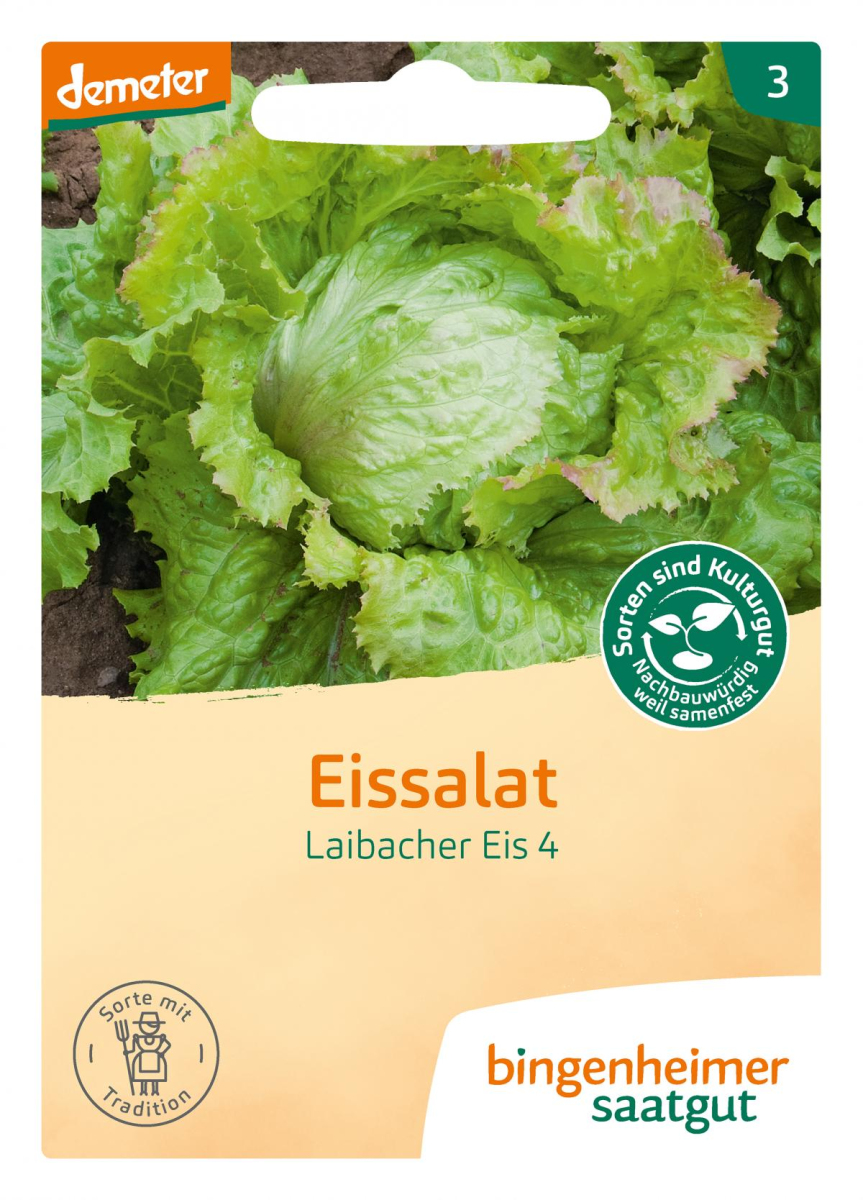 Saat Eissalat "Laibacher Eis"