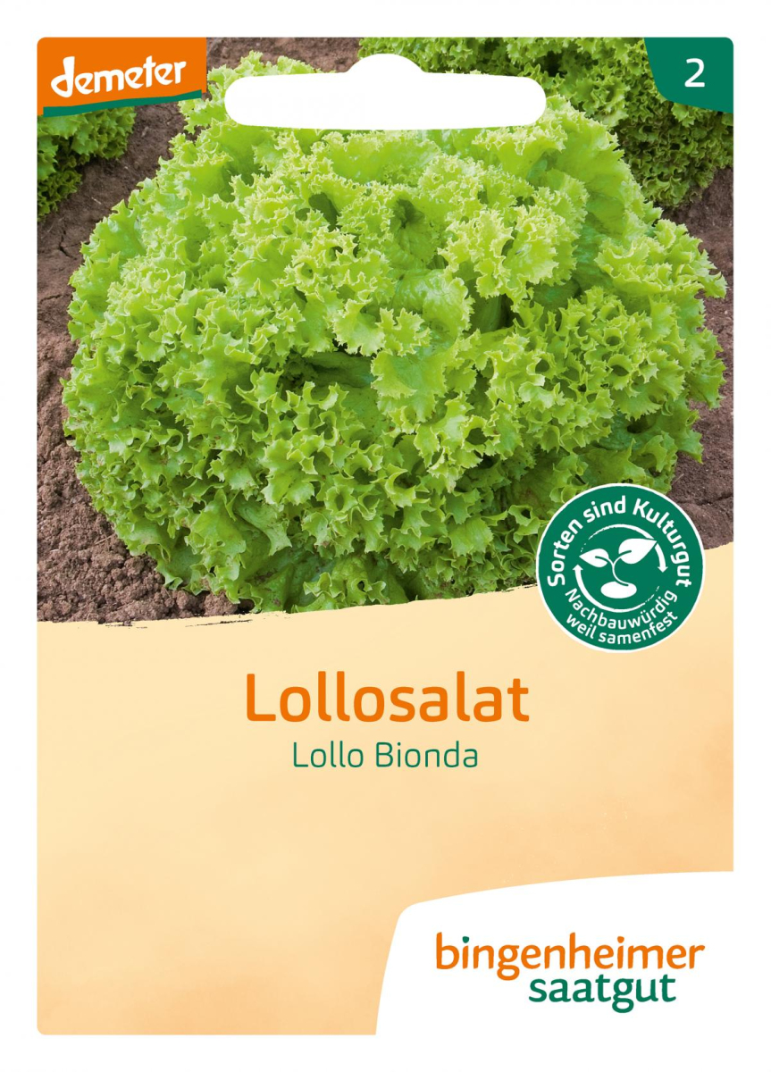 Saat Lollosalat "Lollo Bionda"