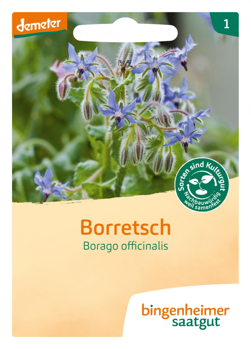 Saat Borretsch