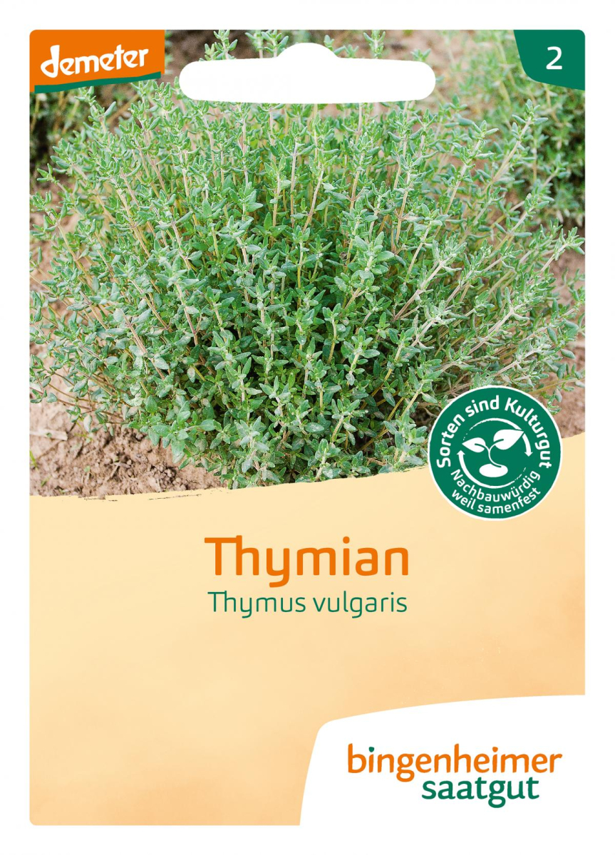 Saat Thymian