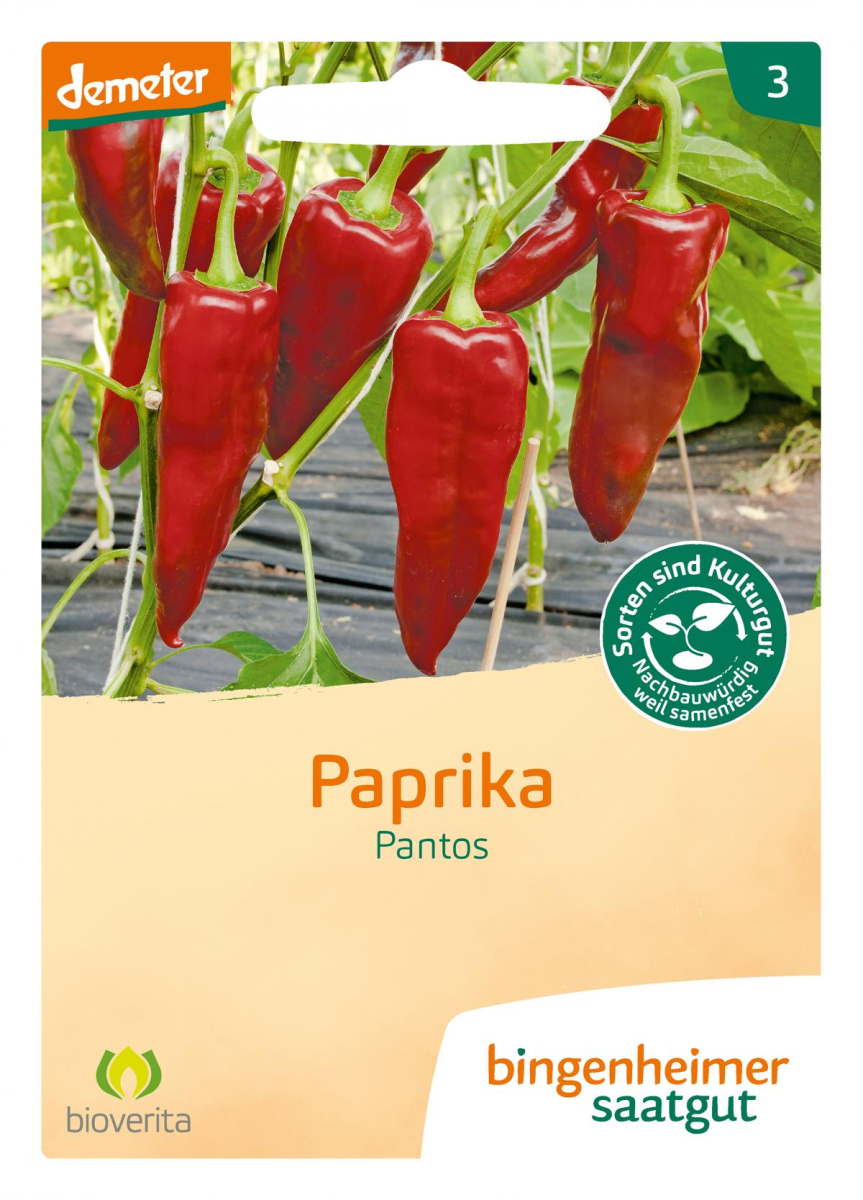 Saat Paprika "Pantos"