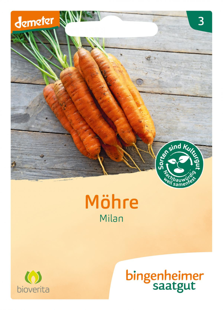 Saat Möhre "Milan"