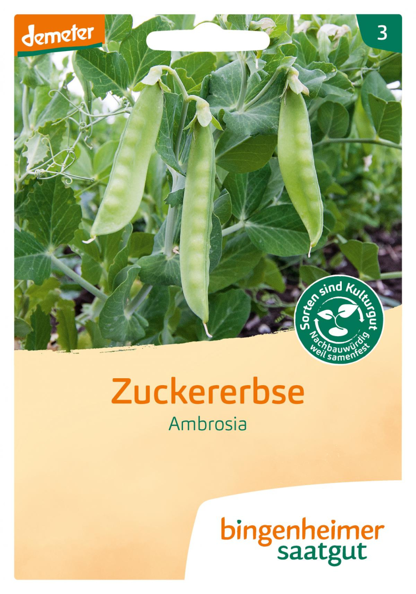 Saat Zuckererbse "Ambrosia"