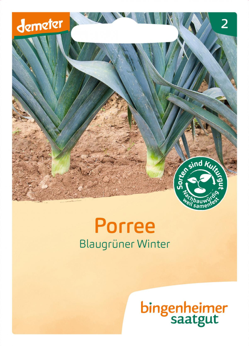Saat Porree" Blaugrüner Winter"