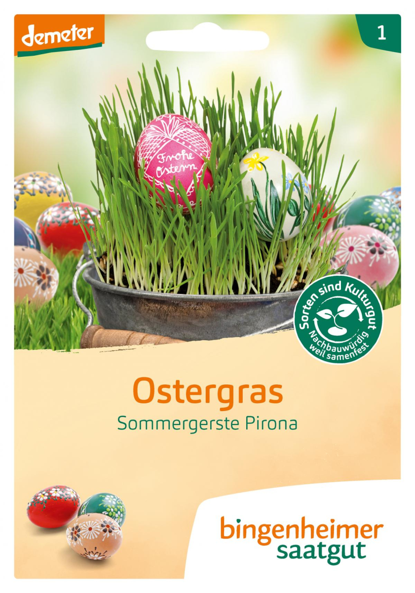 Saat Ostergras
