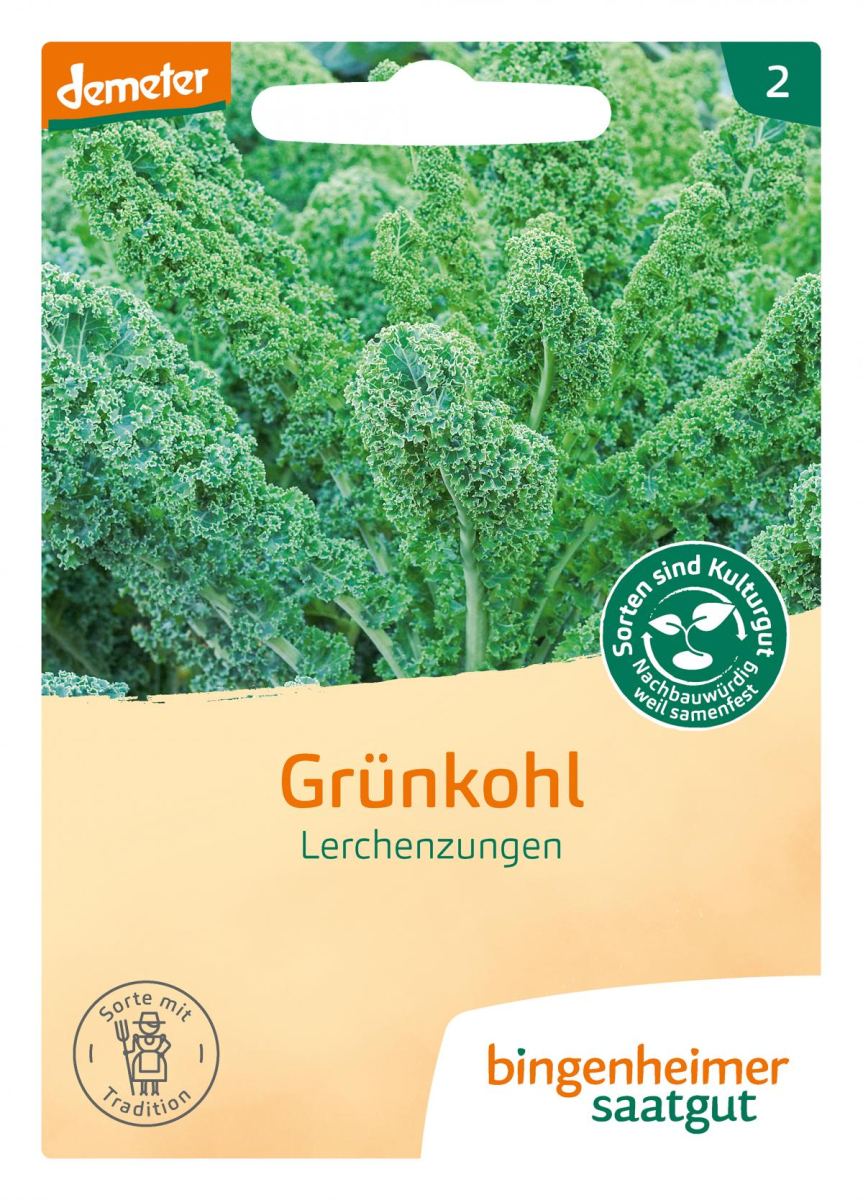 Saat Grünkohl "Lerchenzungen"