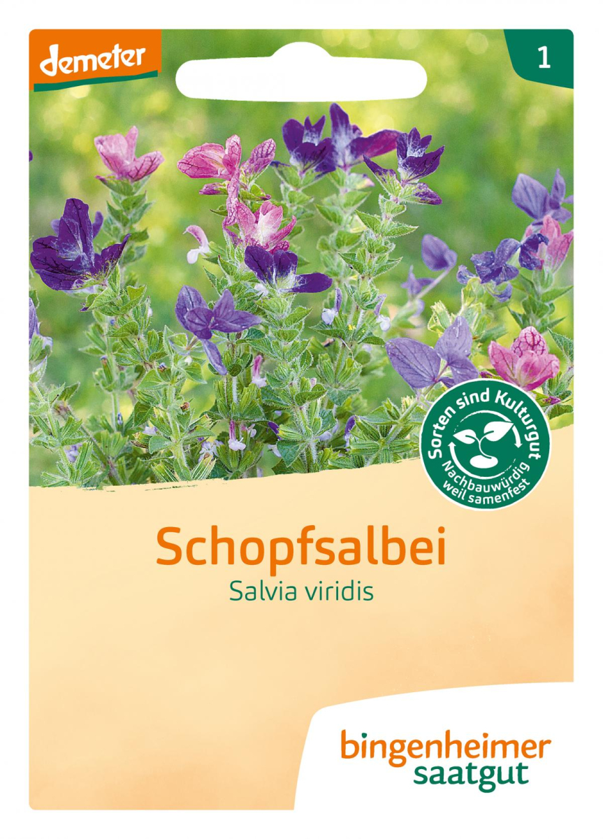 Saat Schopfsalbei