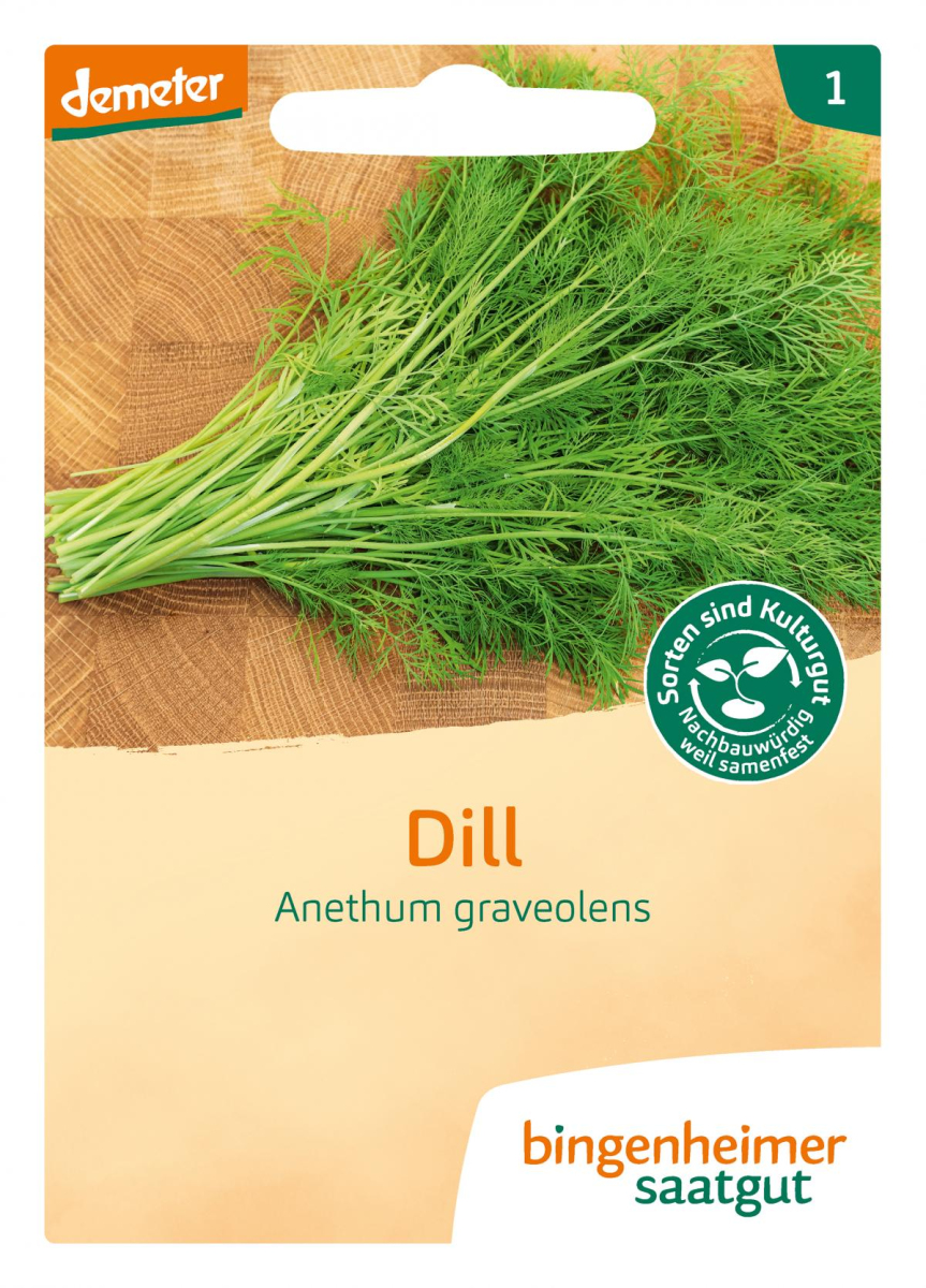 Saatscheibe Dill