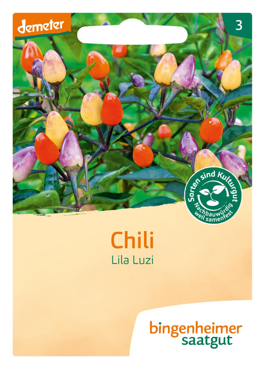 Saat Chili "Lila Luzi"