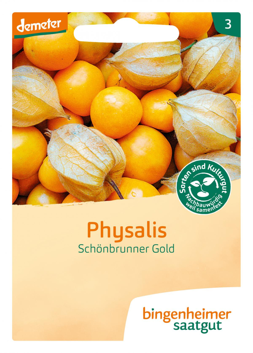 Saat Physalis "Schönbrunner Gold"