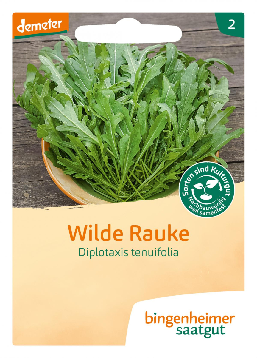 Saat Rucola "Wilde Rauke"