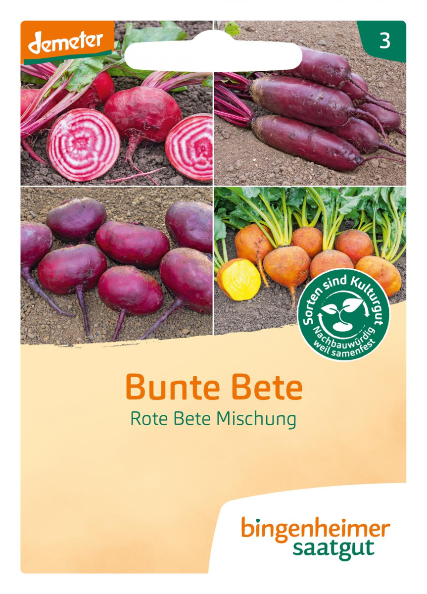 Saat Bunte Bete Mischung