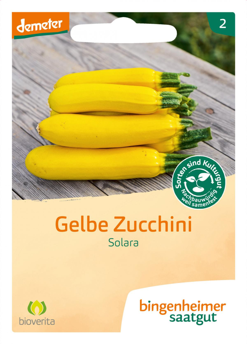 Saat gelbe Zucchini "Solara"