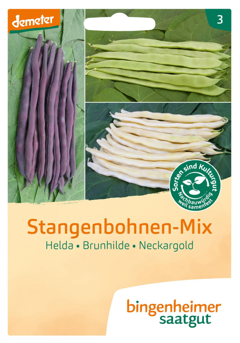 Saat Stangenbohnenmix gelb/lila/grü