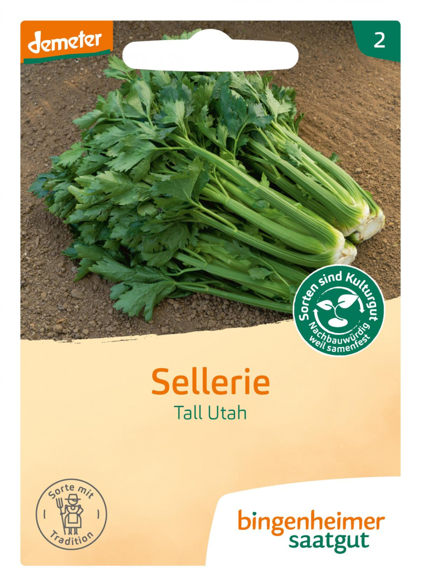 Saat Stangensellerie "Tall Utah"