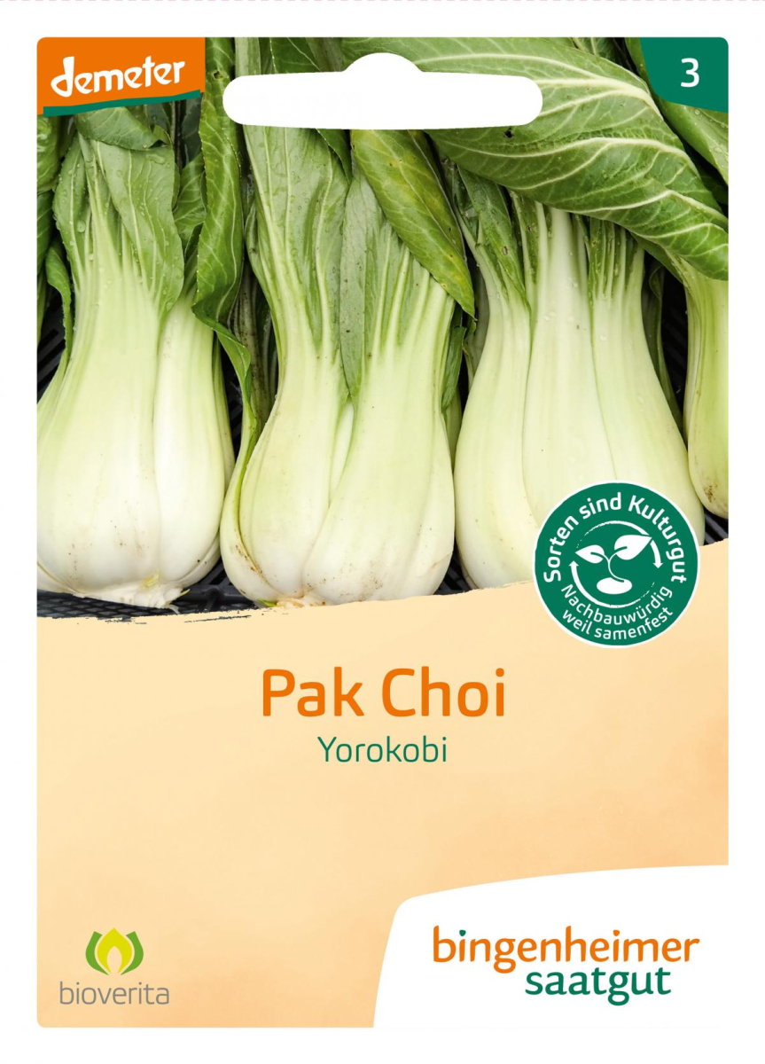 Saat Pak Choi "Yorokobi"