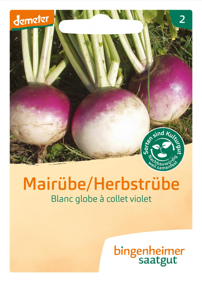 Saat Mairübe "Blanc globe à collet"