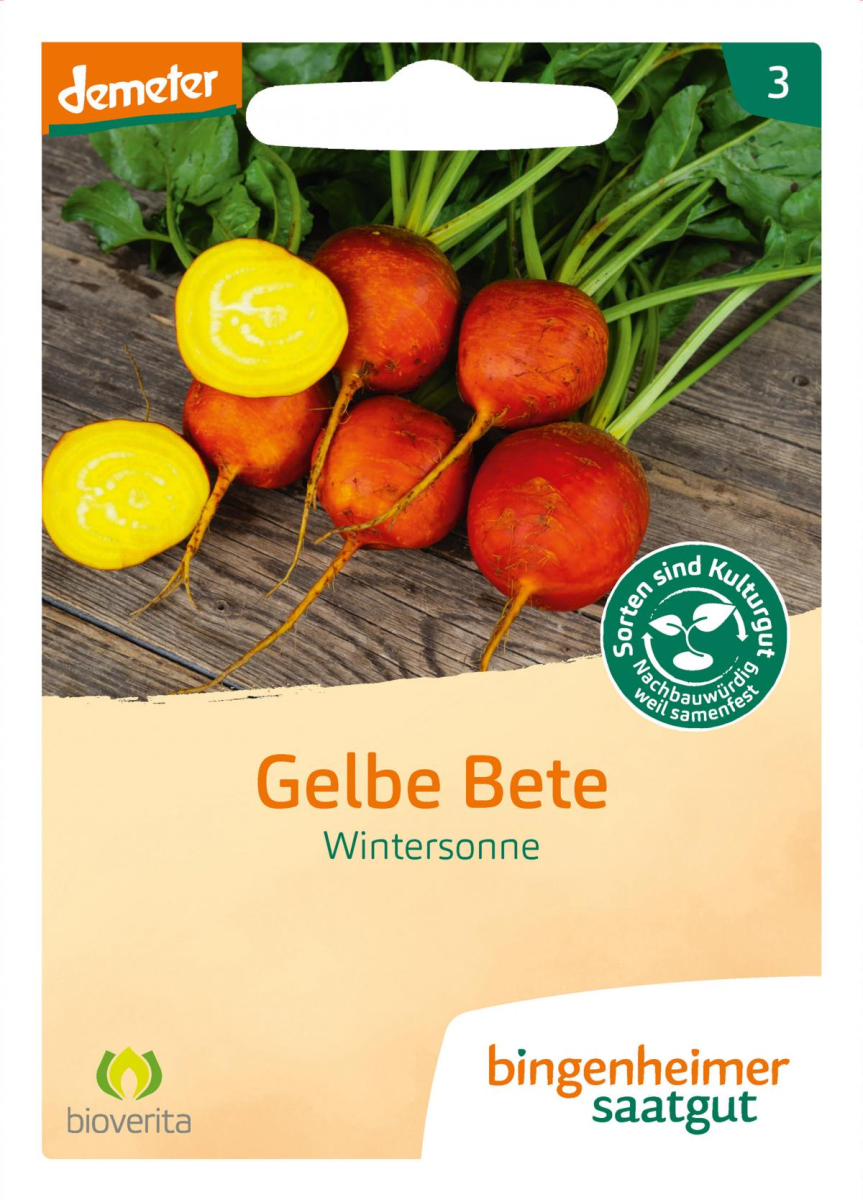 Saat Gelbe Bete "Wintersonne"