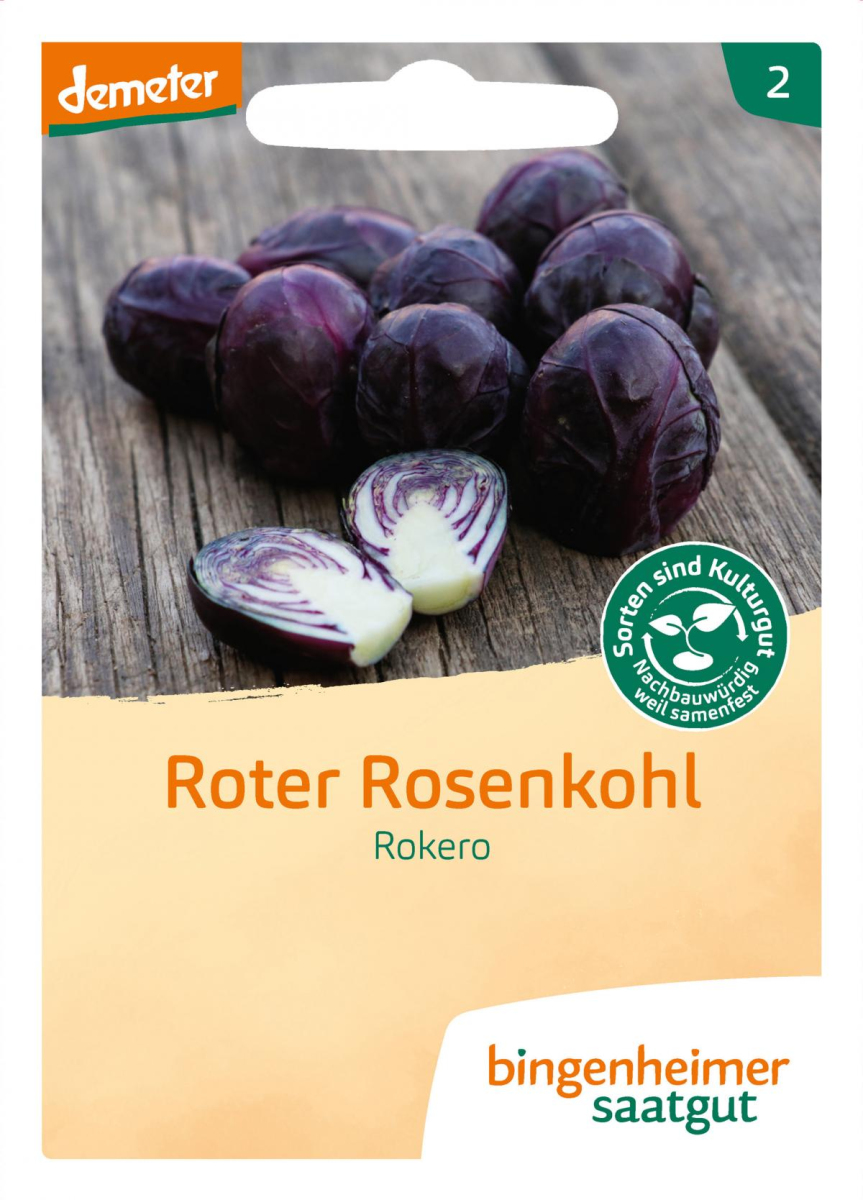 Saat Rosenkohl rot "Rokero"