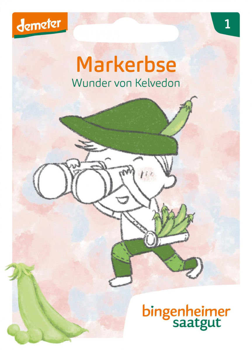 Saat Markerbse "Wunder von Kelvedon"