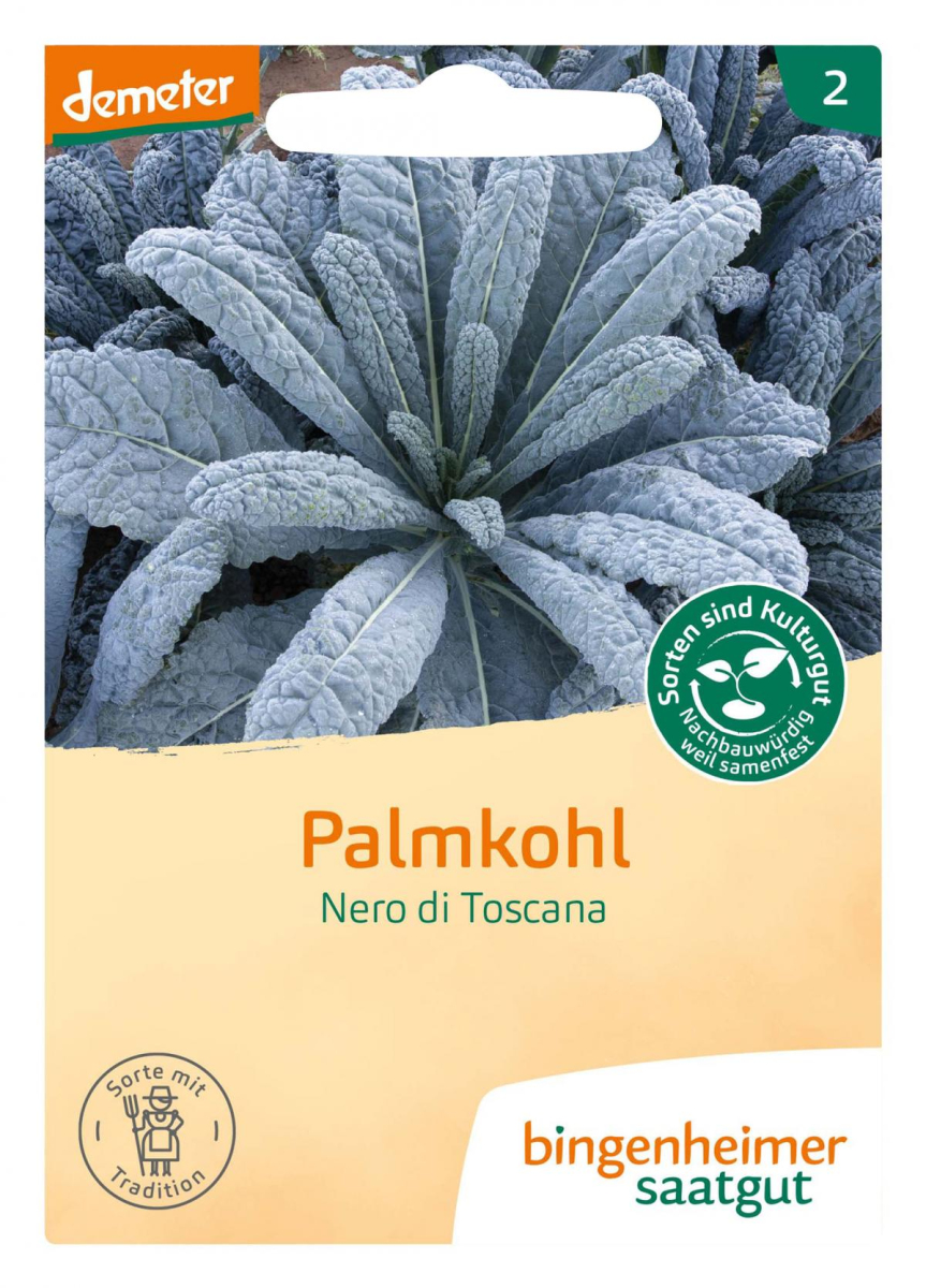 Saat Palmkohl "Nero di Toscana"