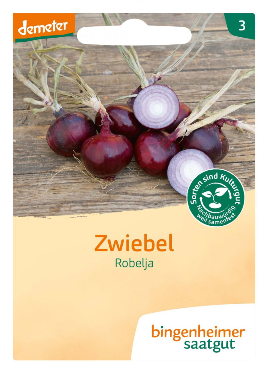 Saat Zwiebel rot "Robelja"