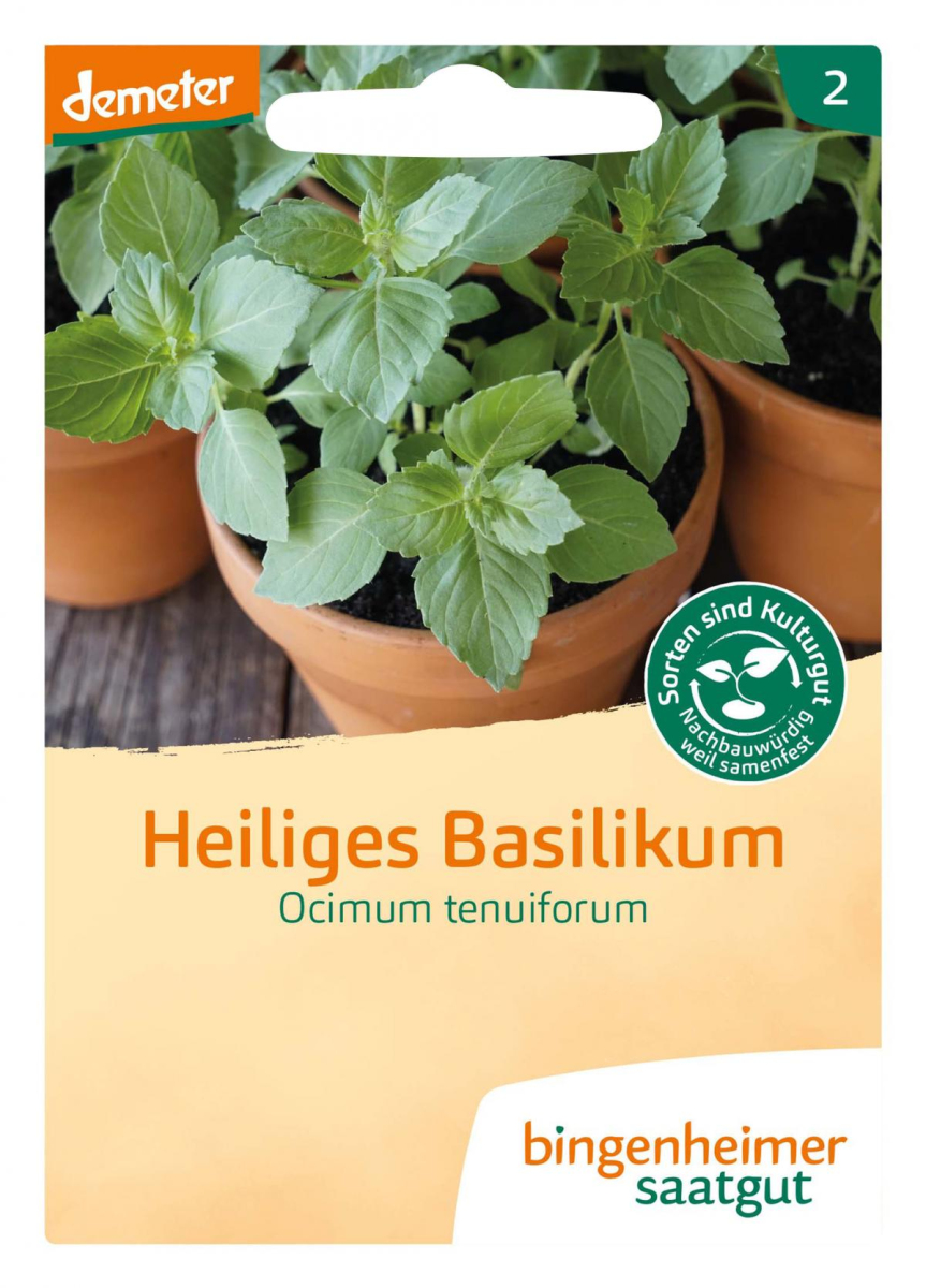 Saat Heiliges Basilikum