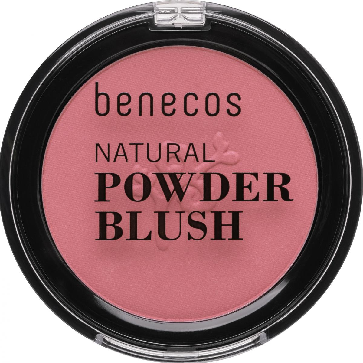 Compact Blush mallow rose