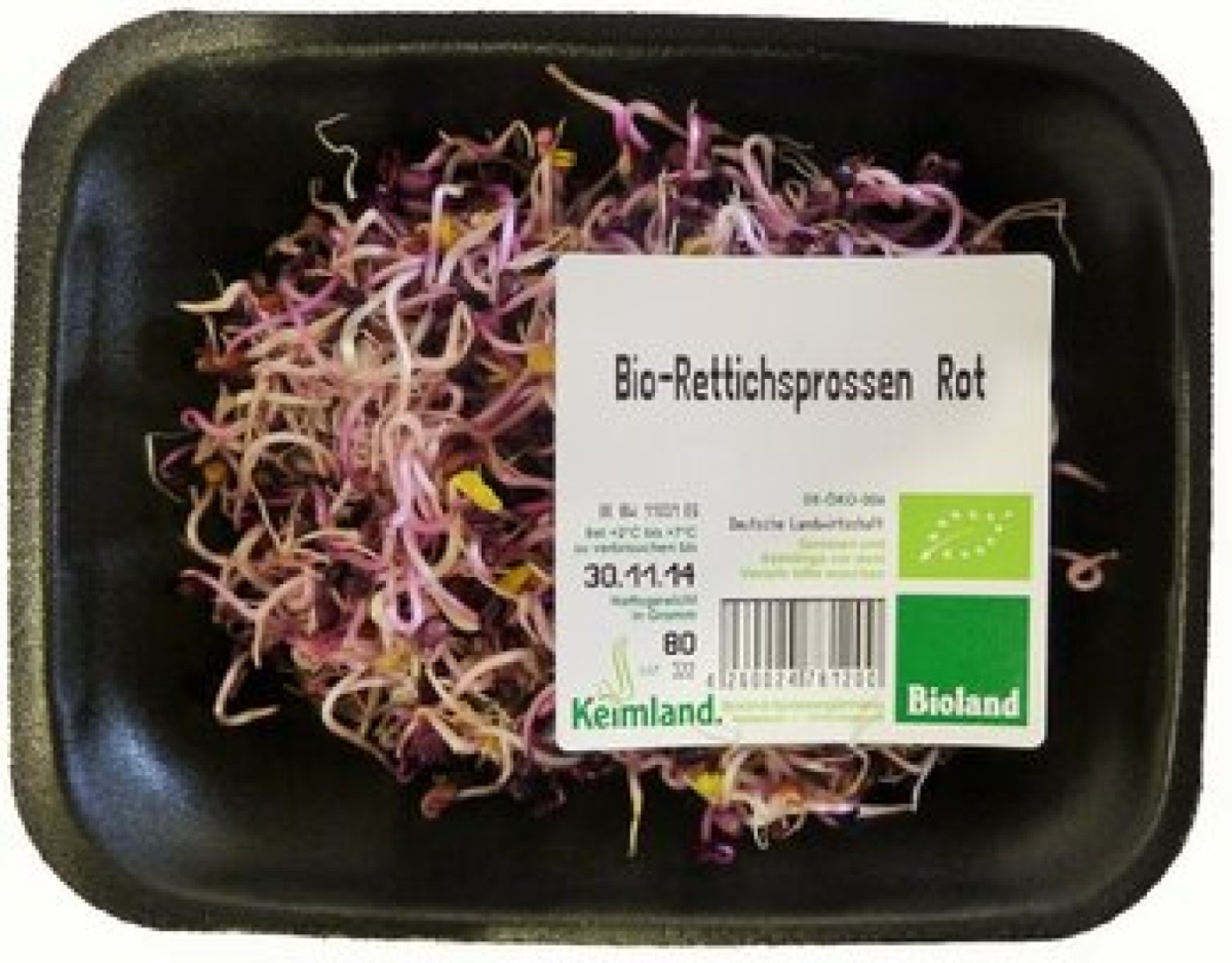Rettichsprossen
