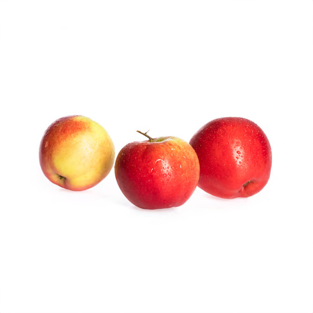 Apfel "Knebusch"
