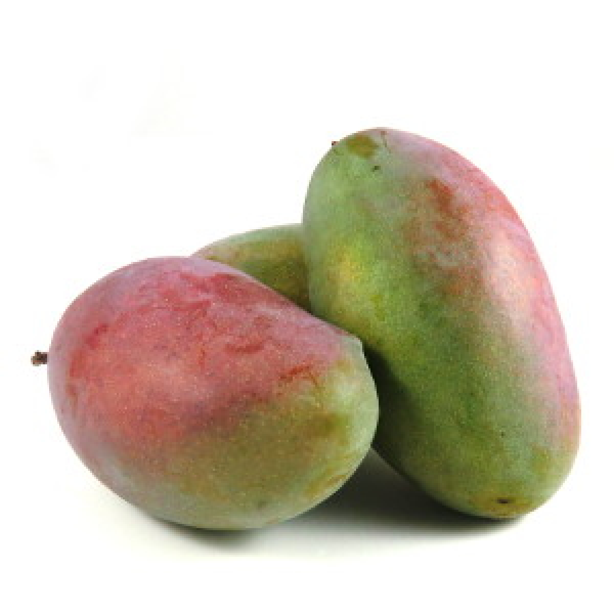 Mango "Osteen"