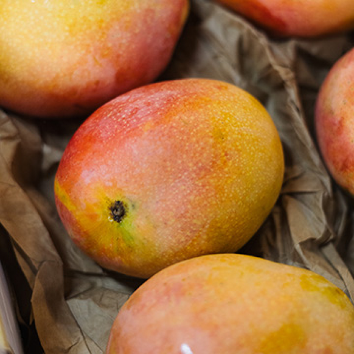Mango "Maja"