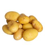 Kartoffeln "Drillinge" (Röstkartoffeln)