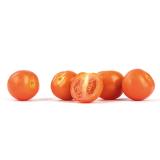 Cherrytomate rot rund/oval