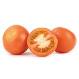Tomate "Baylee/Temptation"